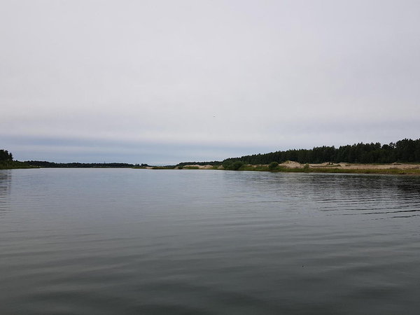 Männiku järv