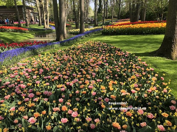 Hollandi lillefestivalile Maaelureisidega