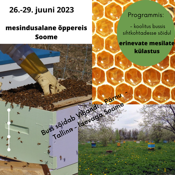 mesinike õppereis Soome