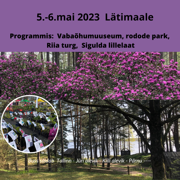 Lätimaale - Riia vabaõhumuuseum, rodode aed, Sigulda lillelaat