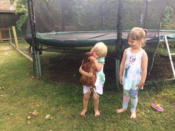 Pildil on kana Paula koos Mia ja Eliisega