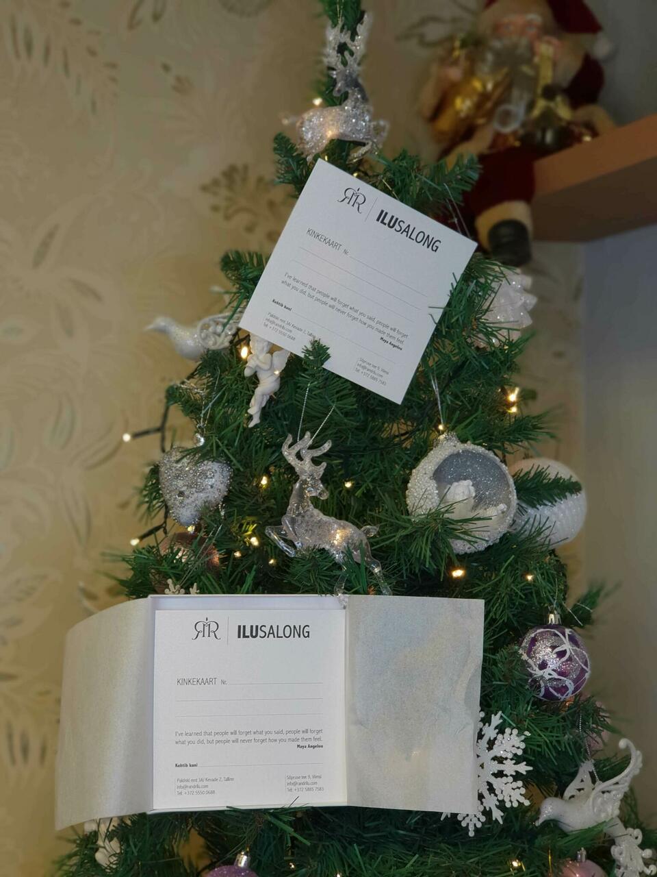 RandRilu kinkekaart RandRilu kinkekaart