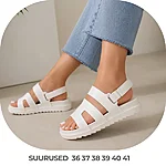Dm283s