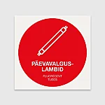 Paevavalguslambid 2