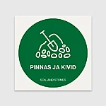 Pinnasjakivid 2