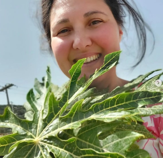 Kreeta Kreeta