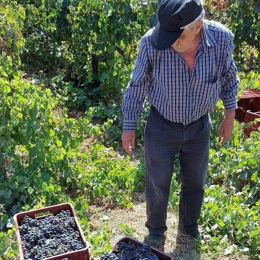 kauplemine kauplemine