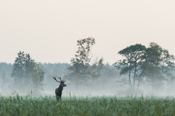 © Saaremaa Loodusretked