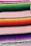Multicolor serape light pink 1