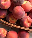 Brzoskwinia candor 1