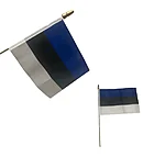 Eesti lipp lastele ruut