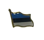 Eesti lipuga rinnamärk
