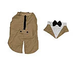 Koera pidulik kostüüm