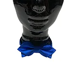 Unikaalne sinine kikilips