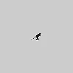 Zoom spot