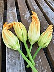 Img 4385