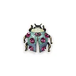 Lepatriinu roheline photoroom