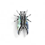 Tsikaad abalon pärl photoroom 1