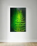 Tiiu piibur sonajalg4 studiogalleryk28