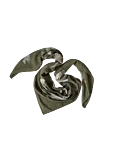 130x130 darkolive bloomingpark sw