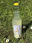 Img 7165
