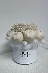Img 0259