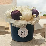 Photoroom 20260202 202850