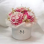 Photoroom 20260202 203712