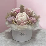 Photoroom 20260202 204726