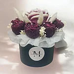 Photoroom 20260202 205116