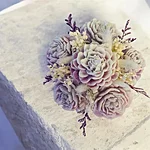 Photoroom 20260202 210547