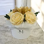 Photoroom 20260202 210604