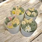 Photoroom 20260302 152620