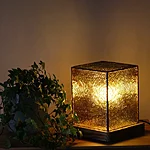 Img 8556 2