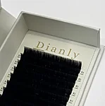 Img 6878 1