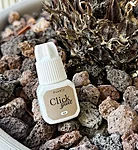 Whatsapp image 2026 03 29 at 17.52.07