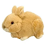 61328kp 1 5600991986328 1