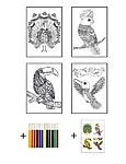 68612kp 21   doodle coloring kit   birds 2