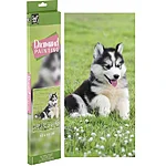 69723kp 8715427111384 3