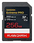 Sdsdxxj 256g gscin