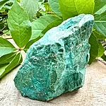 Img 0049 1