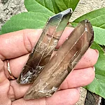 Img 0353 1