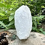 Img 0548