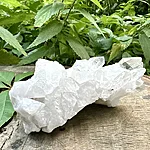 Img 0655