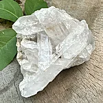 Img 0728