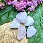 Img 4582