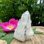Img 9823