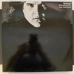 Meat loaf – midnight at the lost and found