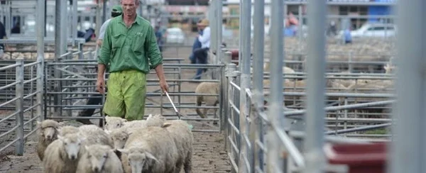 Kas veganid vihkavad talunikke? Kas veganid vihkavad talunikke?