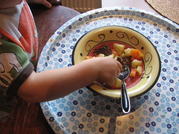 Vegantoitu lasteaedades pakkuv Helsingi ei ole teerajaja, vaid hiline ärkaja Vegantoitu lasteaedades pakkuv Helsingi ei ole teerajaja, vaid hiline ärkaja